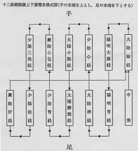 Kyushu University Medical Library Collections