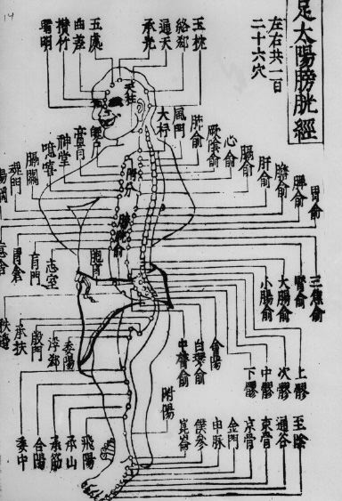 セール】 類経 張氏類経図翼 張介賓 中国古典 東豊書店 趣味・スポーツ セール】 類経 張氏類経図翼 張介賓 中国古典 東豊書店 趣味・スポーツ