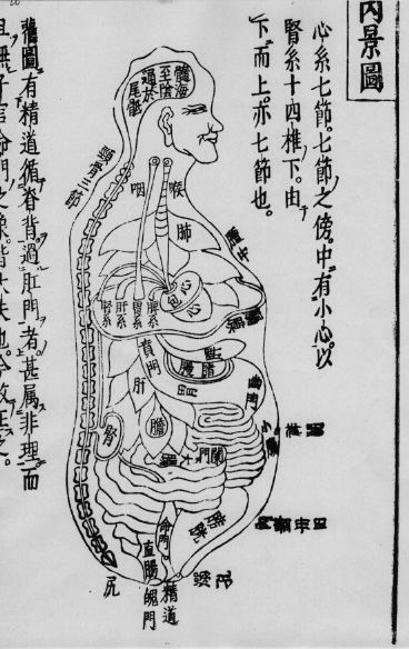 Kyushu University Medical Library Collections