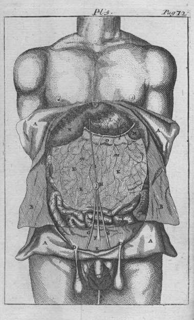 palfyn1733_pl05