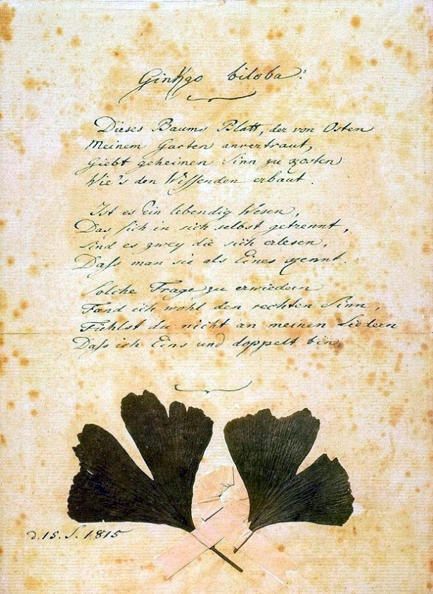 ゲーテの詩「銀杏の葉（Ginkgo Biloba）」