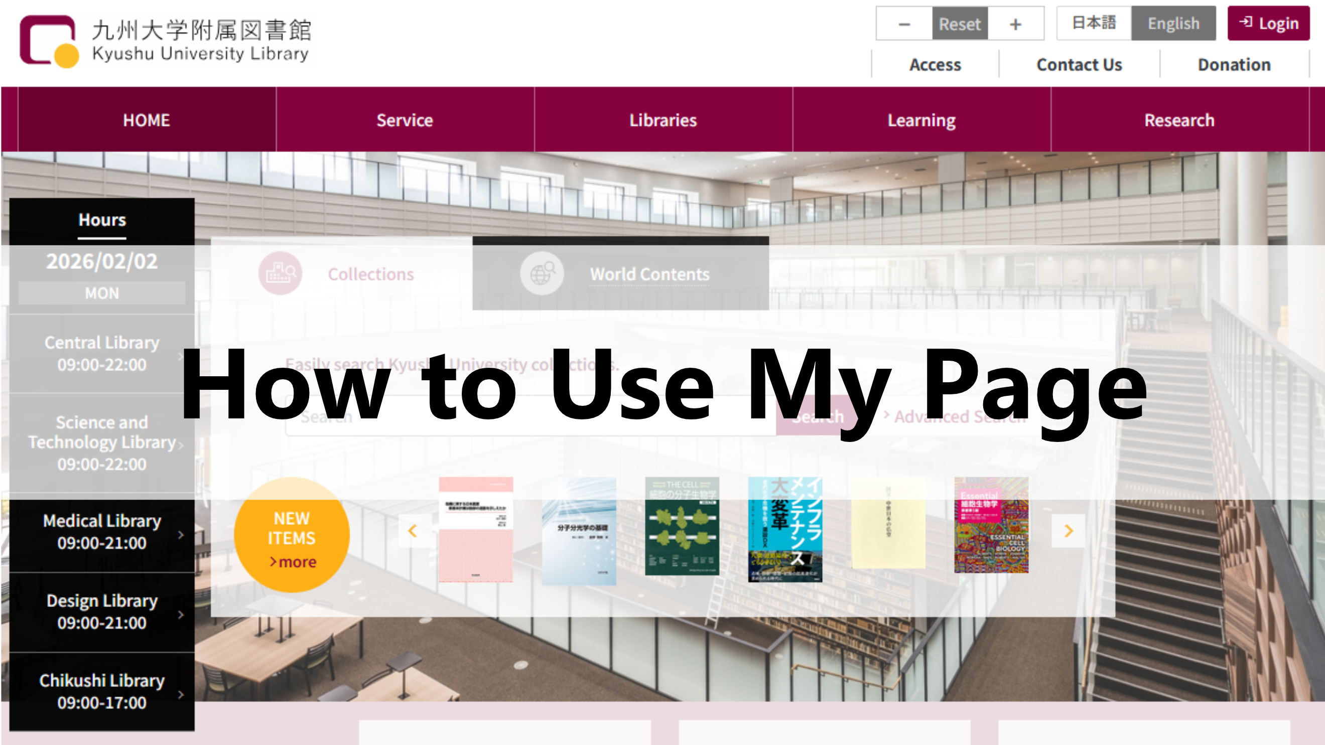 mypage