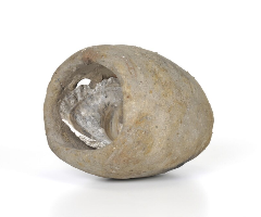 蛸壺 (カキの貝殻入り)