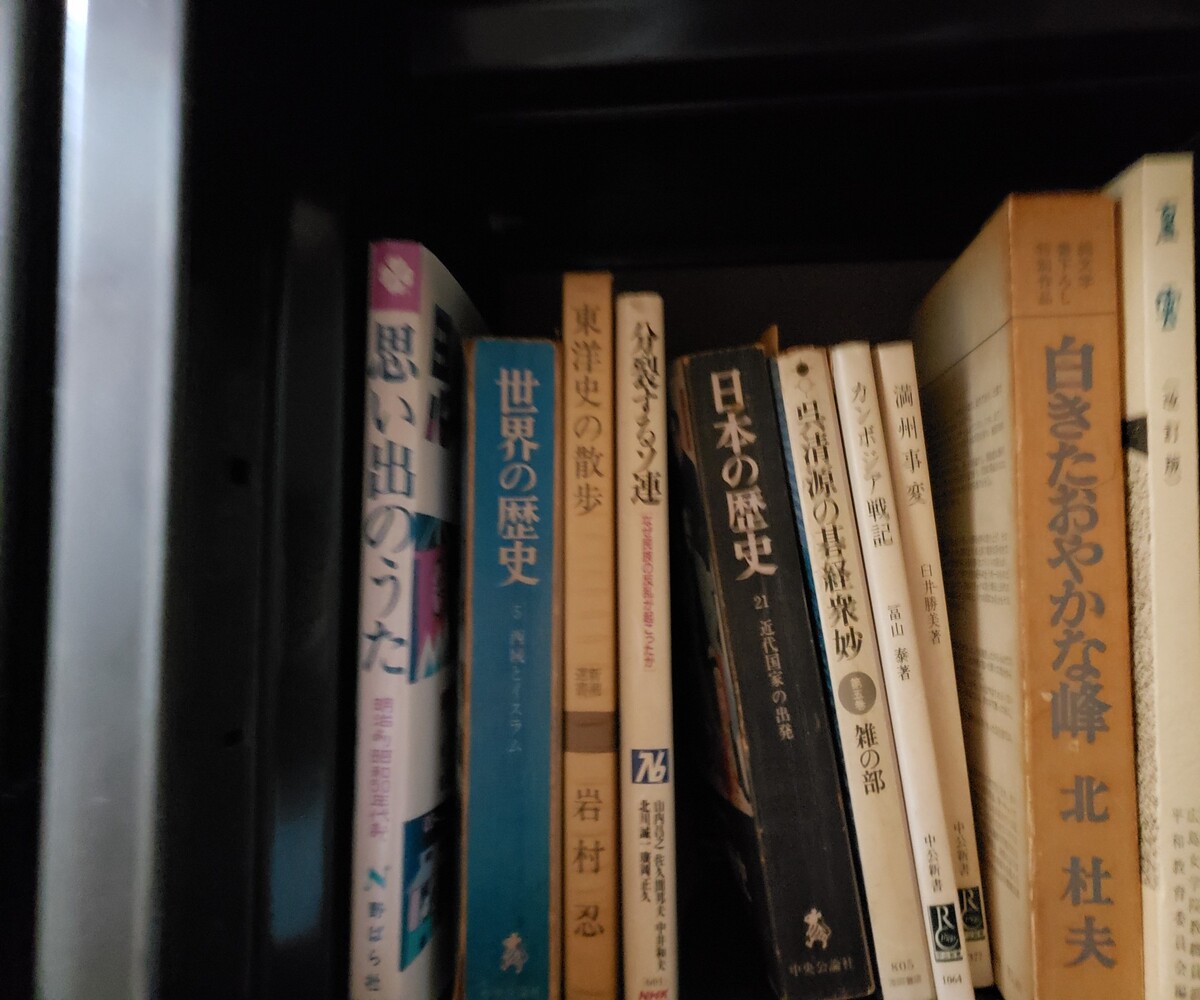 写真：自宅本棚