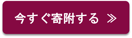 今すぐ寄附する