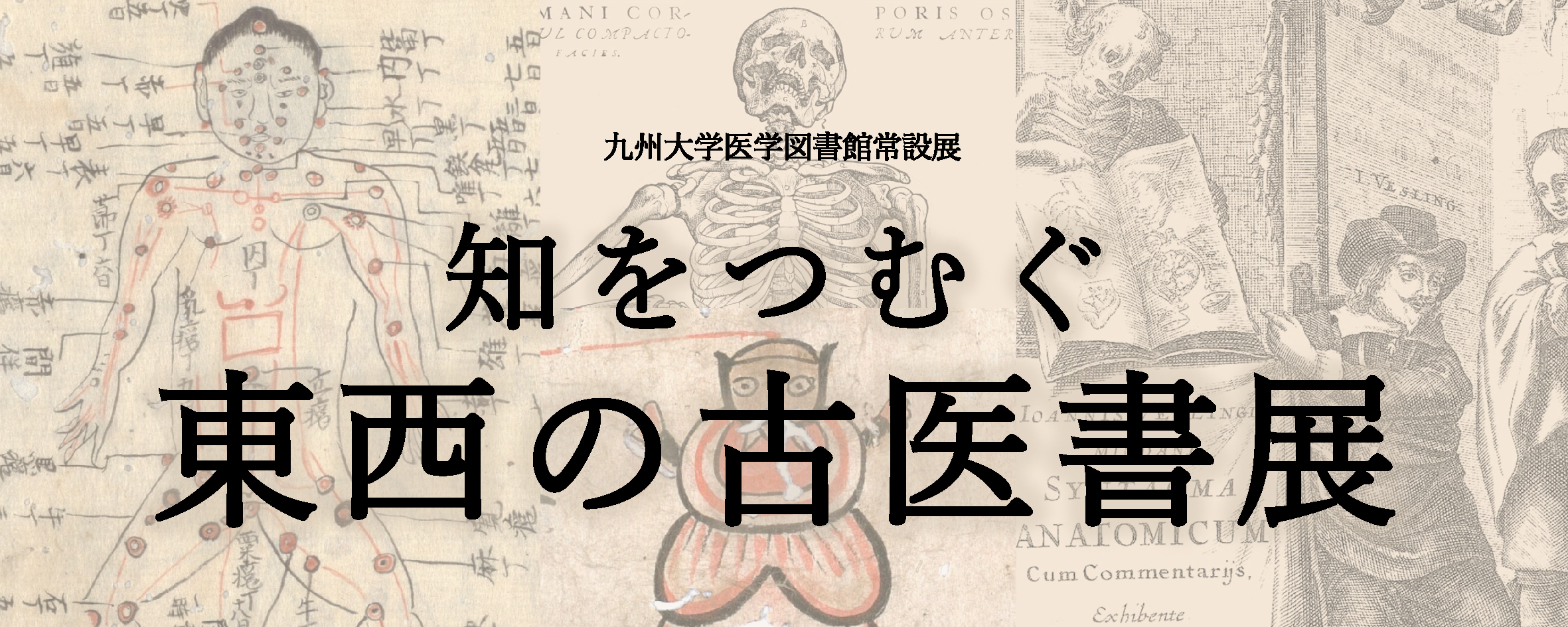 知をつむぐ ー東西の古医書ー