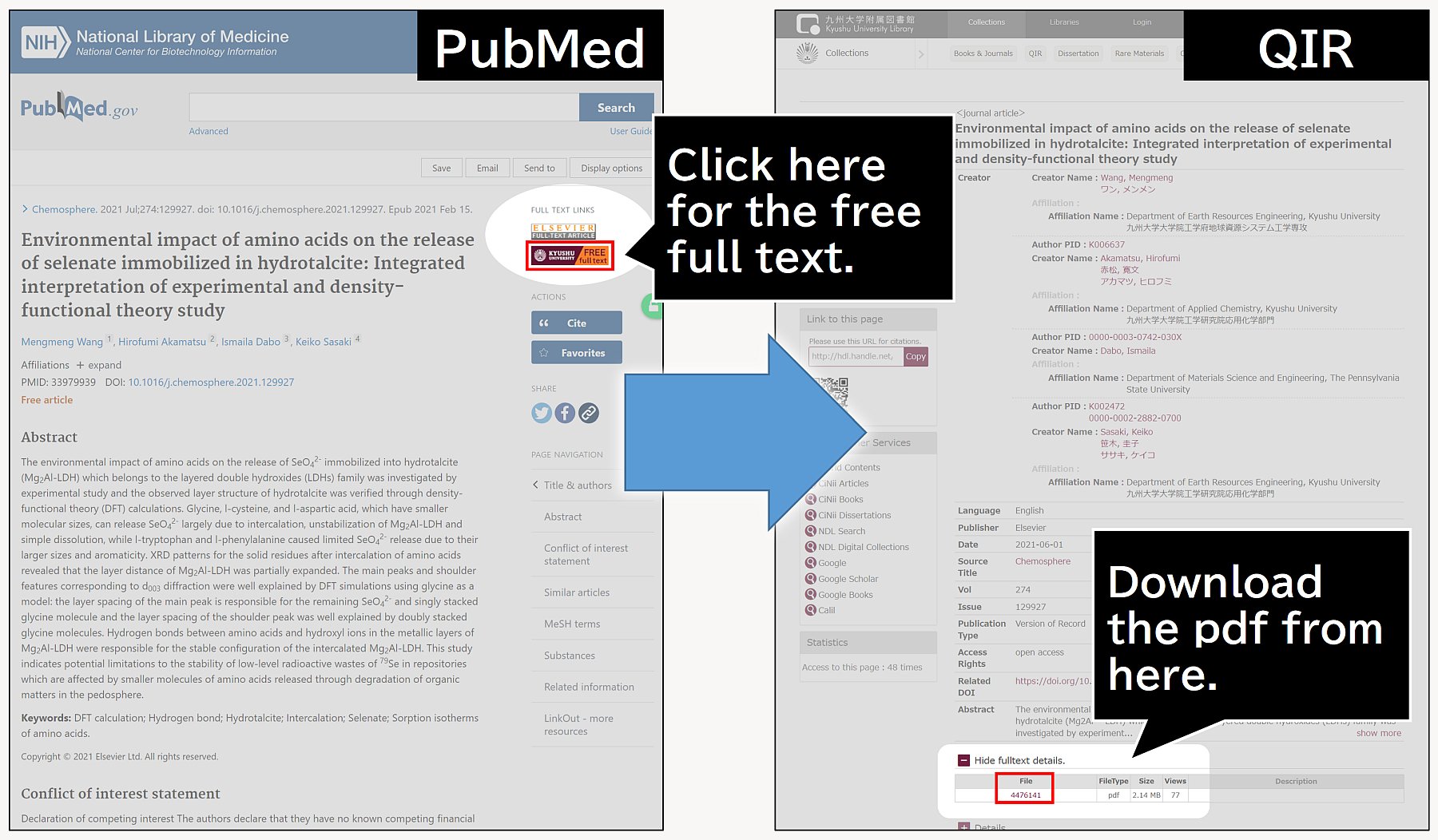 PubMed LinkOut image