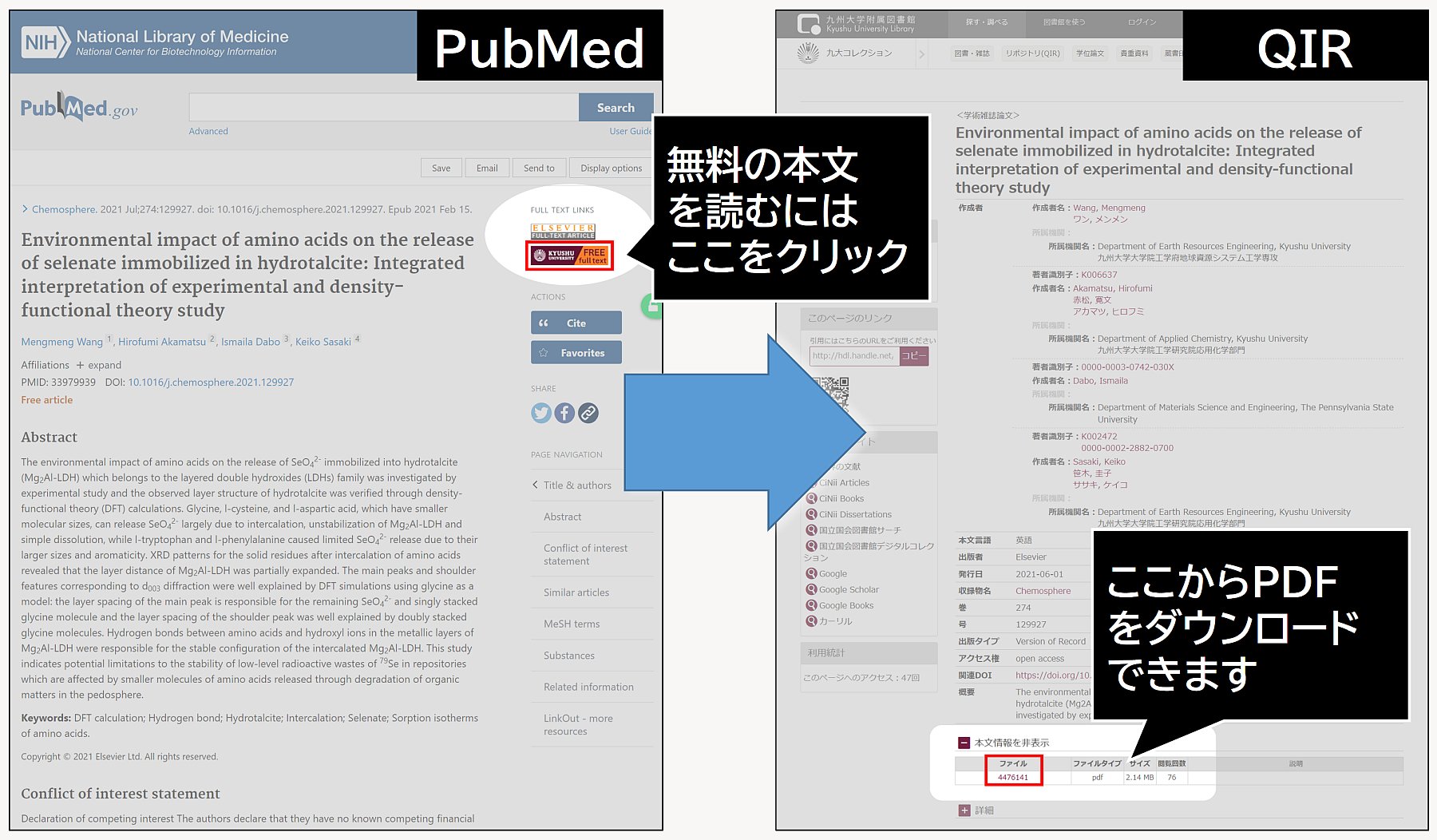 PubMed LinkOut画像